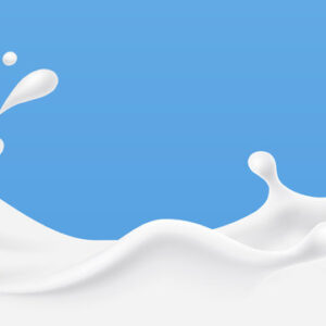 Fresh yoghurt - vanilla